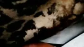 Các con điếm tai sex ...
