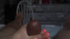 Mèo con Mèo có quan  ...