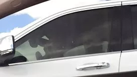 Vợ đang phim loan lu ...