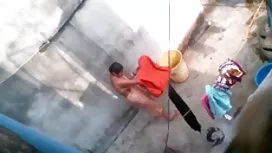Chó cái đẹp, những n ...