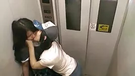 Tên điên phim sexy v ...