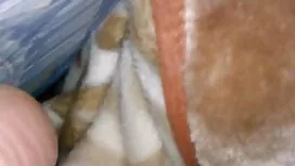 Người Nga đang trên  ...