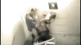 Các cô gái đã cố phi ...