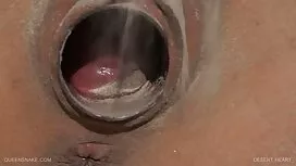 Mèo thích tôn thờ cô ...