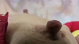 Vòng cổ và hướng dẫn ...